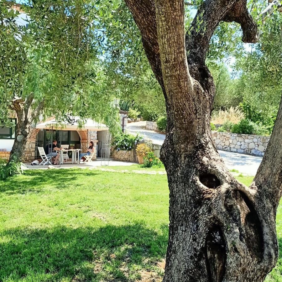 Tarohouse מרינה די קמרוטה מראה חיצוני תמונה
